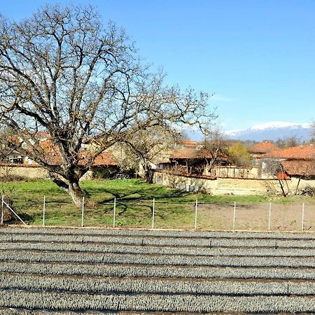 Vila V S. Gabarevo, Dolinata Na Rozite. Vila Exterior foto