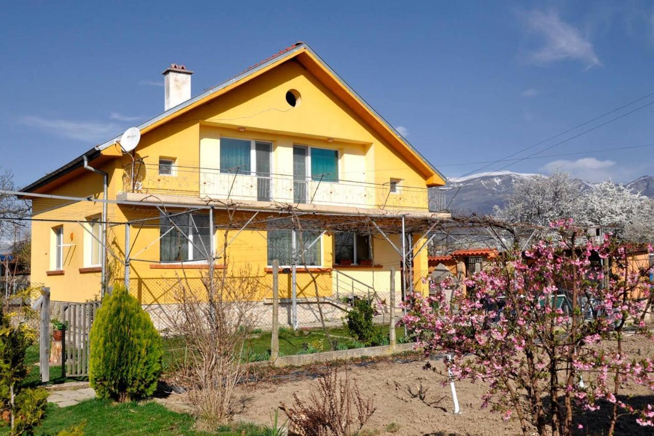 Вила В С. Габарево, Долината На Розите. Gabarevo Exterior foto