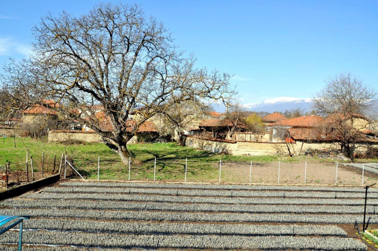 Vila V S. Gabarevo, Dolinata Na Rozite. Vila Exterior foto