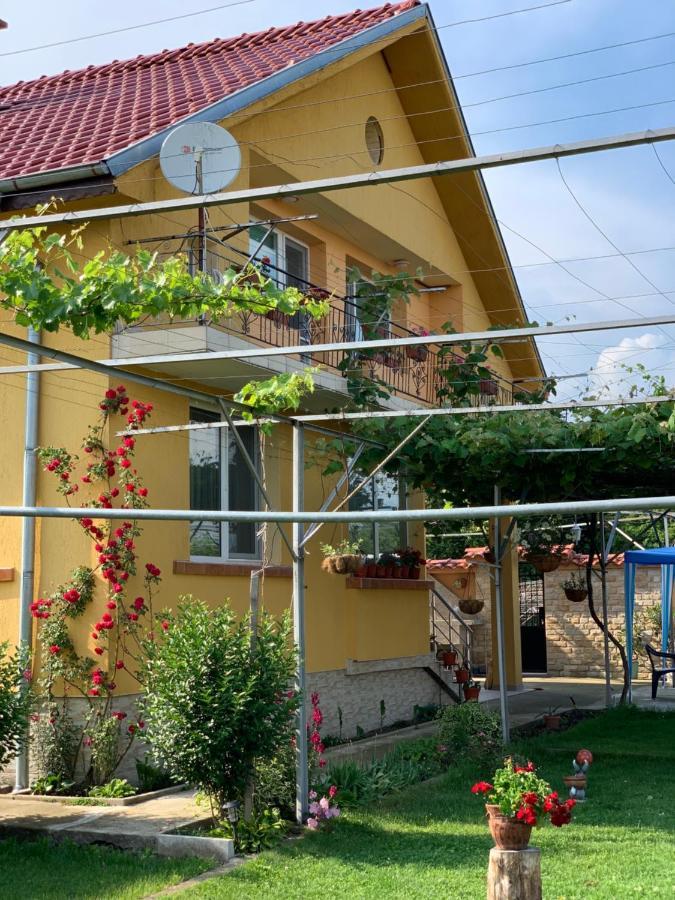 Вила В С. Габарево, Долината На Розите. Gabarevo Exterior foto