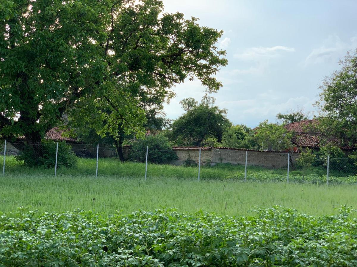 Vila V S. Gabarevo, Dolinata Na Rozite. Vila Exterior foto